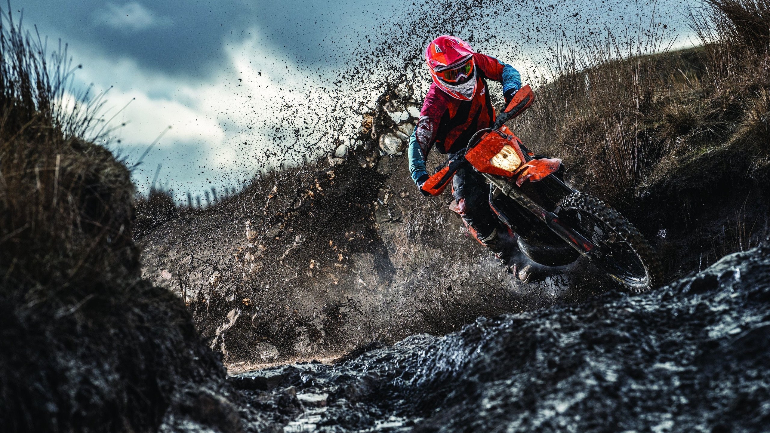 开云体育登录-NBA季后赛之夜，布克为何是硬仗之王？